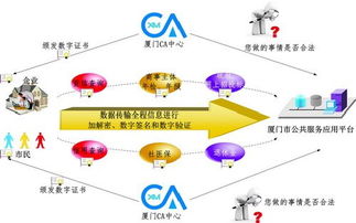 信息集團發(fā)揮信息化優(yōu)勢 打造惠民互聯(lián)網(wǎng)信息服務(wù)產(chǎn)品